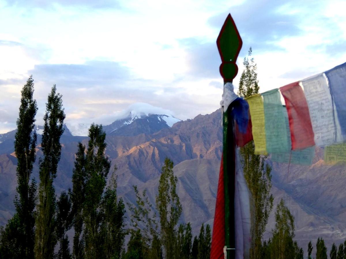 Hotel Holiday Ladakh Leh Exterior photo